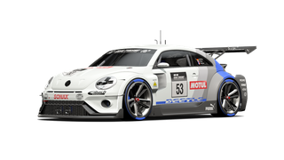Beetle Gr.3